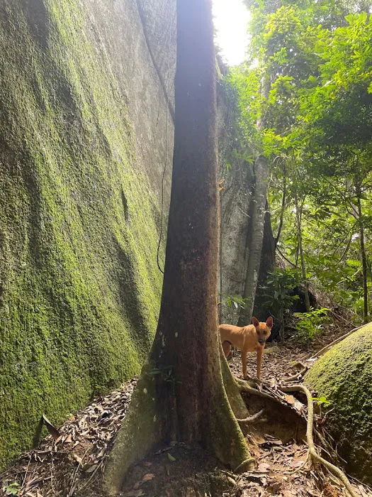 Bukit Baginda New Trail (Gochang) Picture 5