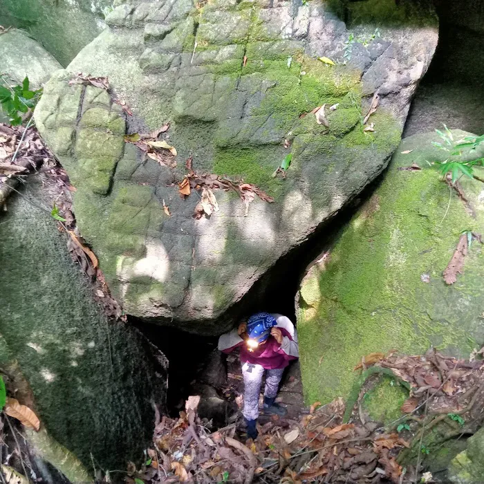 Bukit Baginda New Trail (Gochang) Picture 8