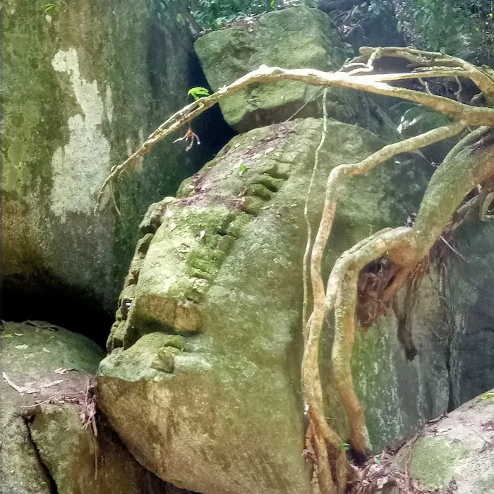 Bukit Baginda New Trail (Gochang) Picture 6