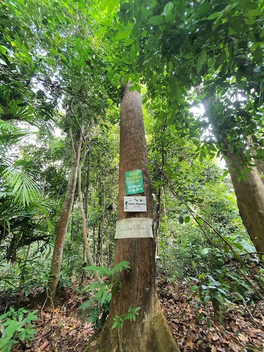 Bukit Baginda Trailhead Picture 8