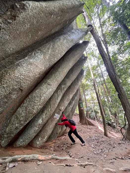 Bukit Baginda Trailhead Picture 10