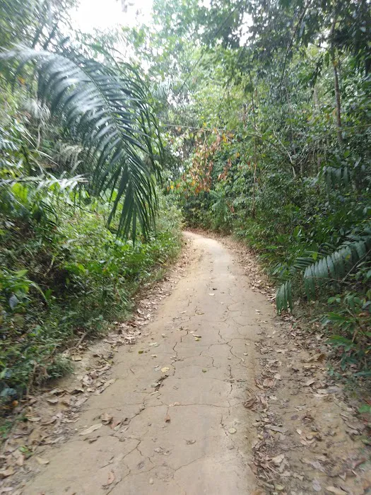Bukit Baginda Trailhead Picture 4