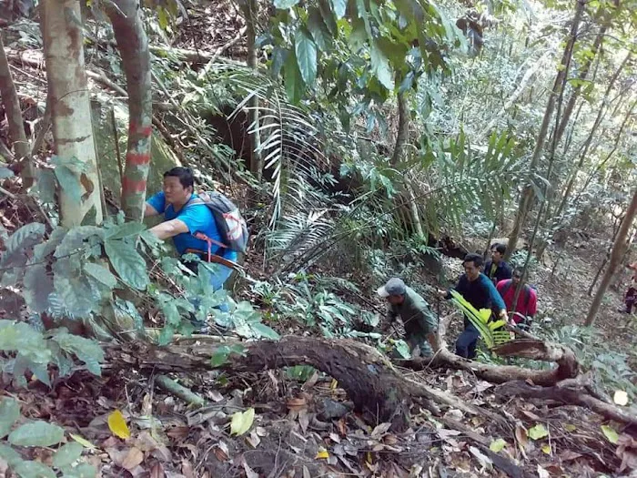 Bukit Baginda Trailhead Picture 5
