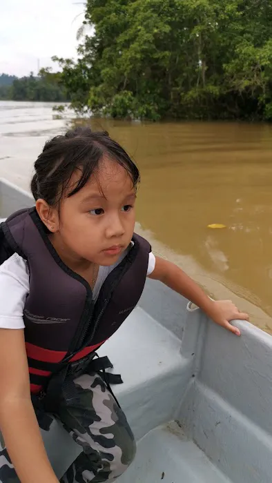 Pak Itam Swamp Camp Site Picture 3