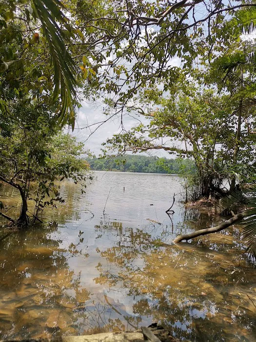 Pak Itam Swamp Camp Site Picture 5