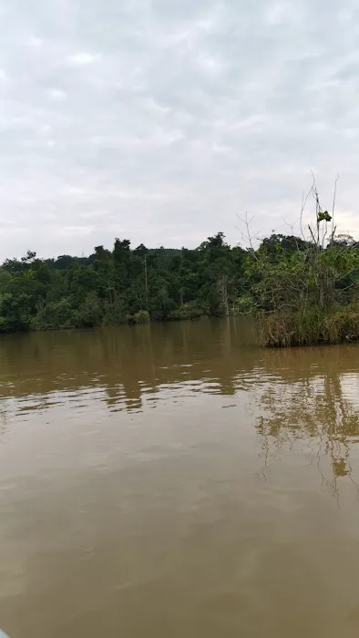 Pak Itam Swamp Camp Site Picture 2