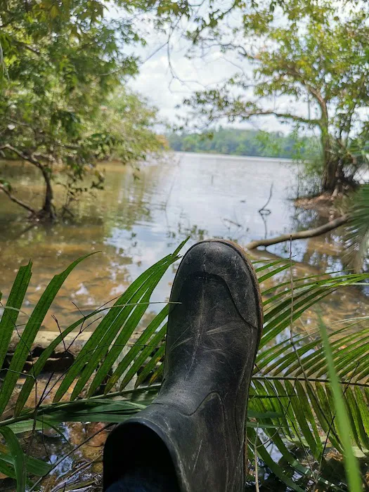 Pak Itam Swamp Camp Site Picture 1