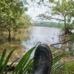 Pak Itam Swamp Camp Site