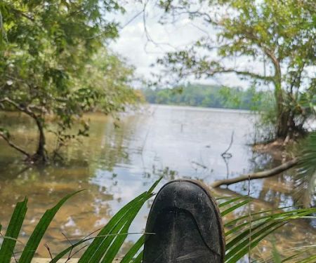 Pak Itam Swamp Camp Site