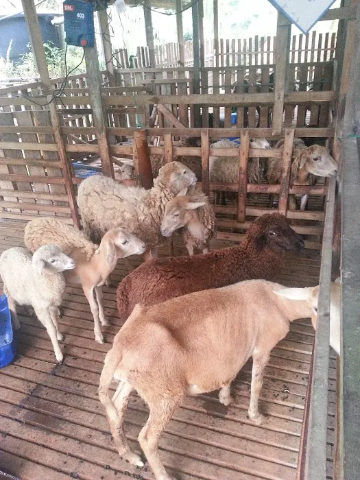 Aido Agro Park Picture 1