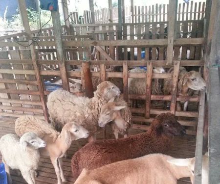 Aido Agro Park
