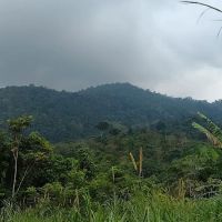 Jeram Belau ico