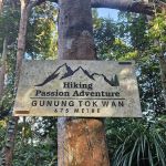Gunung Tok Wan Peak