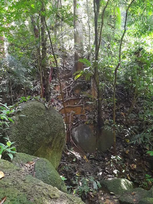 Gunung Tok Wan Peak Picture 9