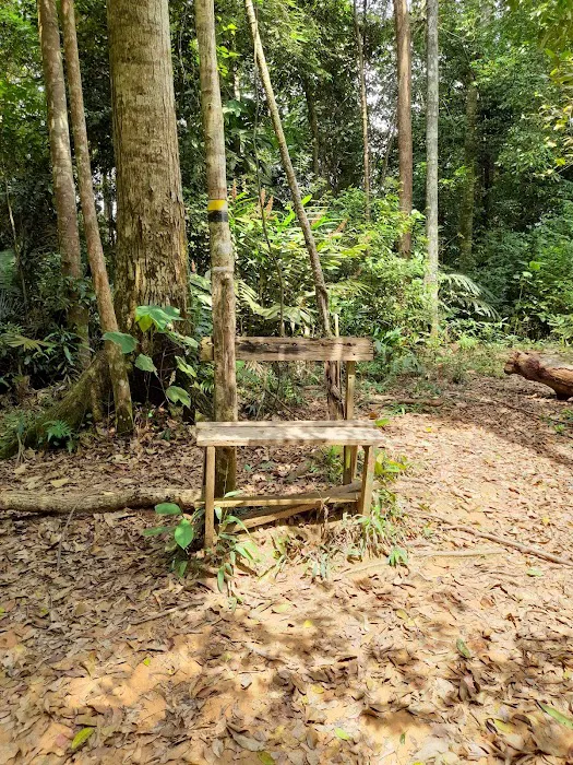 Gunung Tok Wan Peak Picture 5