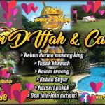 Kebun Iffah & Camping