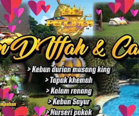 Kebun Iffah & Camping