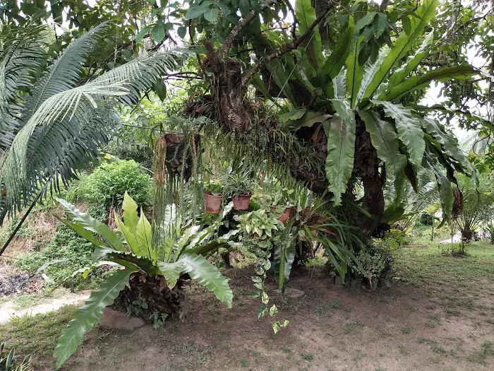 Masjid Qariah Kampung Sungai Pasu Picture 5