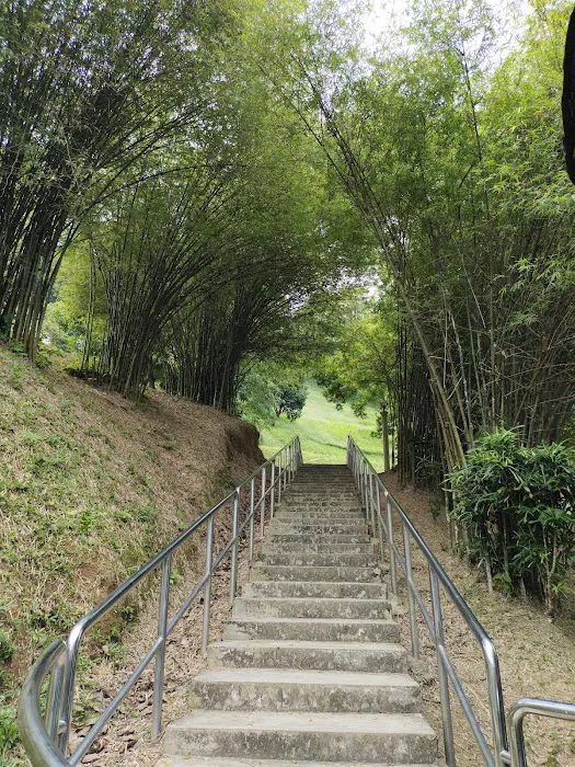 Mini arashiyama (大聖嶺岚山小竹林) Picture 4