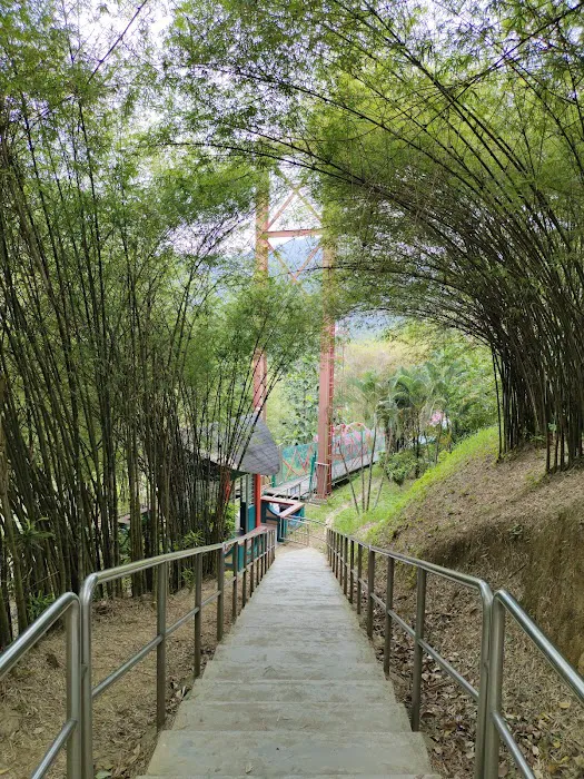 Mini arashiyama (大聖嶺岚山小竹林) Picture 9