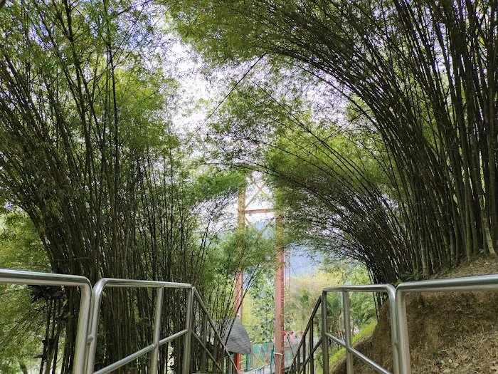 Mini arashiyama (大聖嶺岚山小竹林) Picture 7