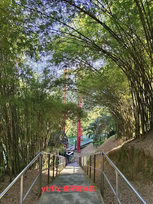 Mini arashiyama (大聖嶺岚山小竹林) Picture 2