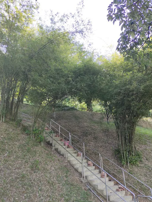 Mini arashiyama (大聖嶺岚山小竹林) Picture 1