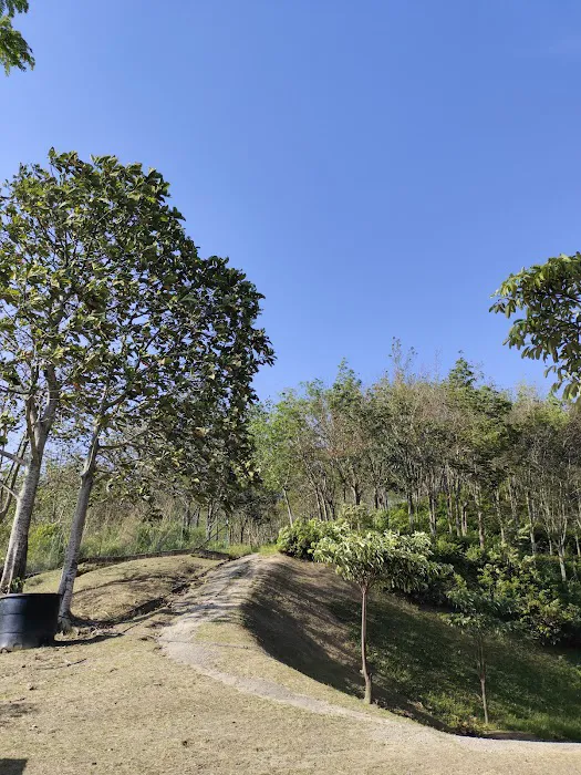 Entrance to hilltop Picture 2
