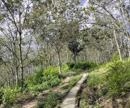 Entrance to hilltop