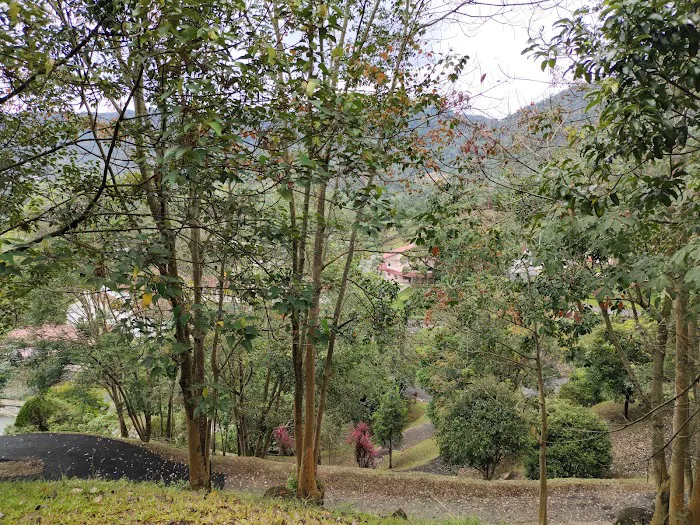 Lookout point 2 第二站 Picture 2