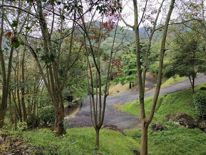 Lookout point 2 第二站 Picture 1