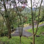 Lookout point 2 第二站