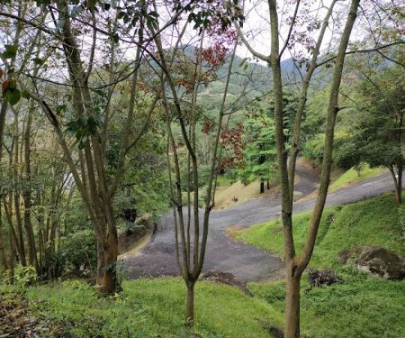 Lookout point 2 第二站