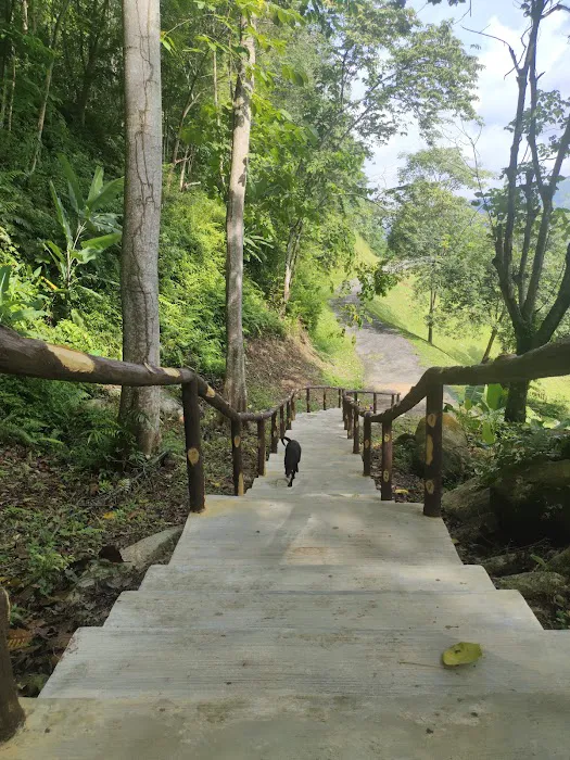 New route (Staircase to monkey statue) Picture 1