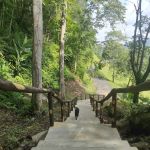 New route (Staircase to monkey statue)