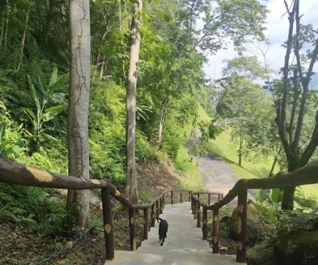 New route (Staircase to monkey statue)