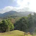 Lookout point 4 第四站