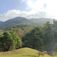Lookout point 4 第四站 ico