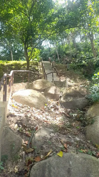 大石 Big Rock Picture 2