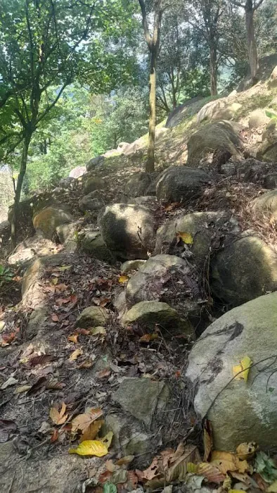大石 Big Rock Picture 4
