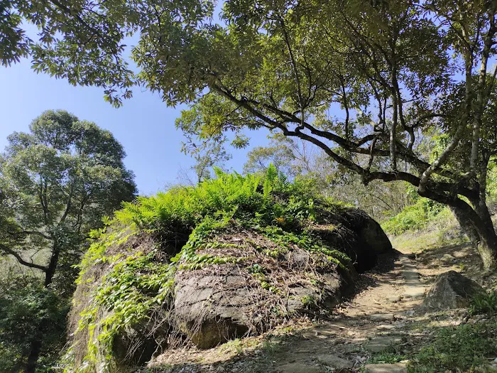 大石 Big Rock Picture 5