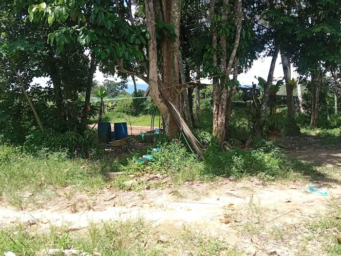 Awang's place Picture 6