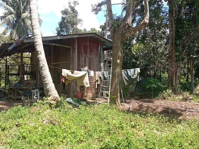 Awang's place Picture 5