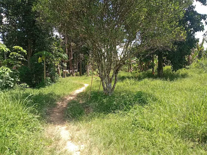 Awang's place Picture 9