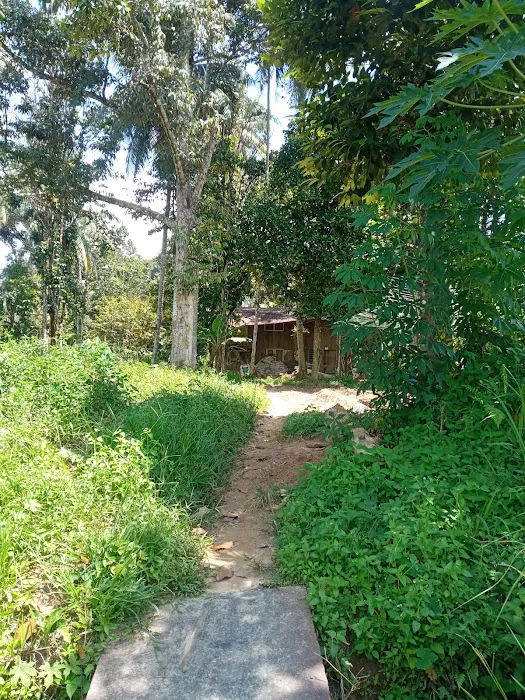 Awang's place Picture 1
