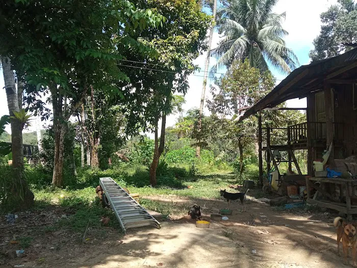 Awang's place Picture 8