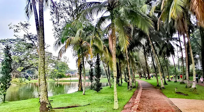 Permaisuri Football Field Picture 6