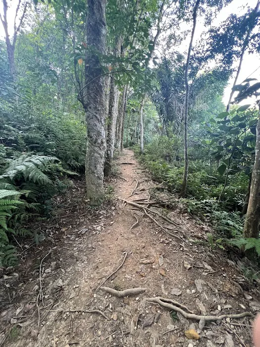 Puncak Tedung Bukit Melati Picture 1