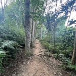 Puncak Tedung Bukit Melati