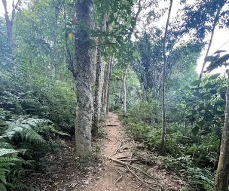 Puncak Tedung Bukit Melati